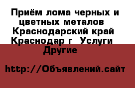 Приём лома черных и цветных металов - Краснодарский край, Краснодар г. Услуги » Другие   